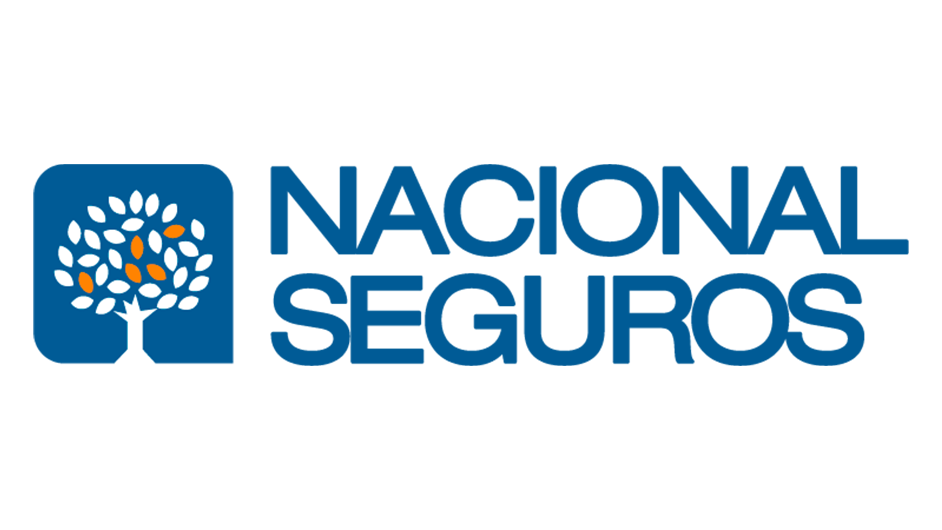 Nacional Seguros